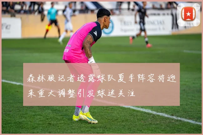 森林狼记者透露球队夏季阵容将迎来重大调整引发球迷关注
